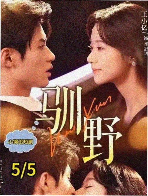 都市剧集连播片单封面